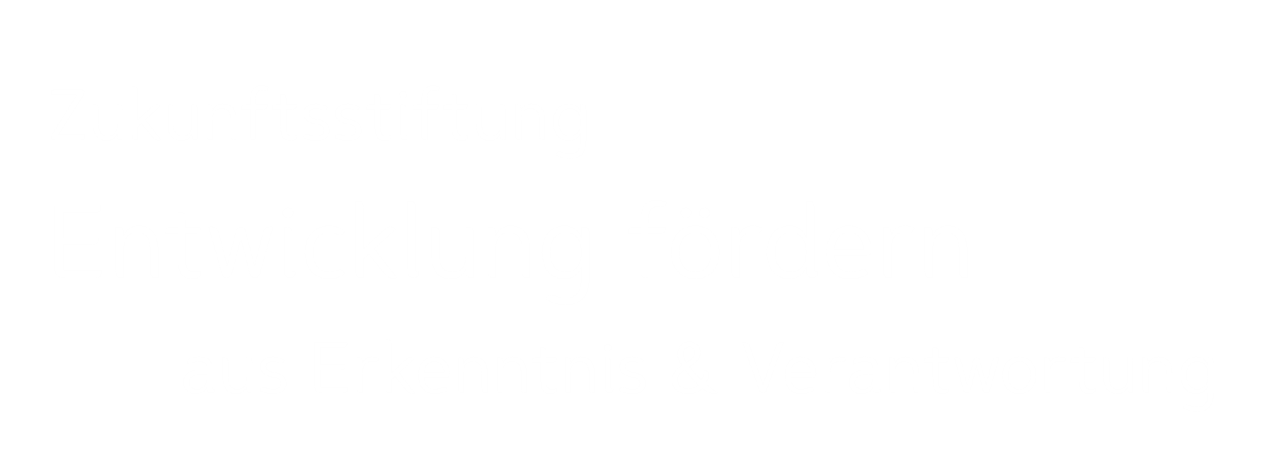 logoEntwicklungsstiftung